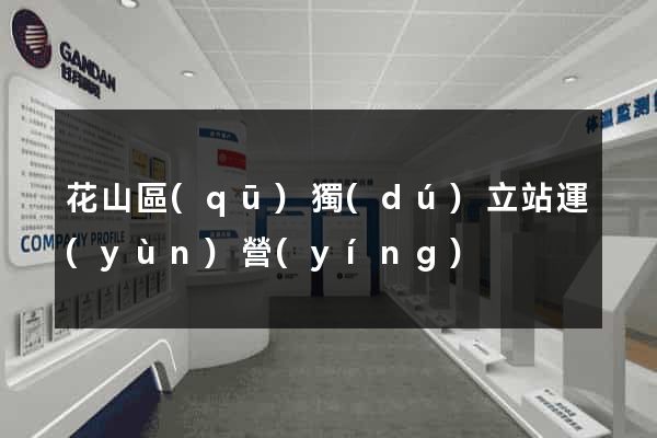花山區(qū)獨(dú)立站運(yùn)營(yíng)