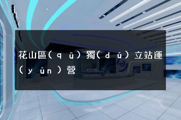 花山區(qū)獨(dú)立站運(yùn)營