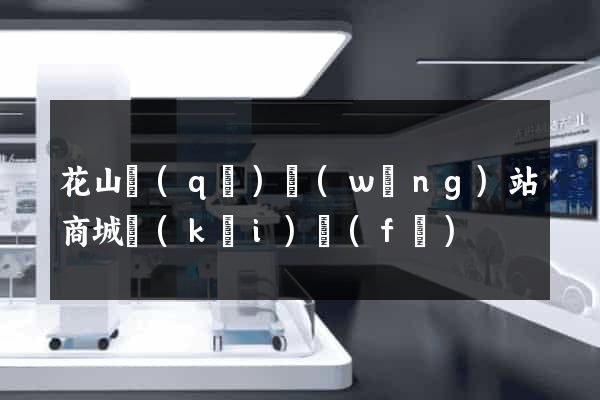 花山區(qū)網(wǎng)站商城開(kāi)發(fā)