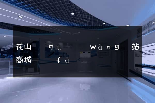 花山區(qū)網(wǎng)站商城開發(fā)