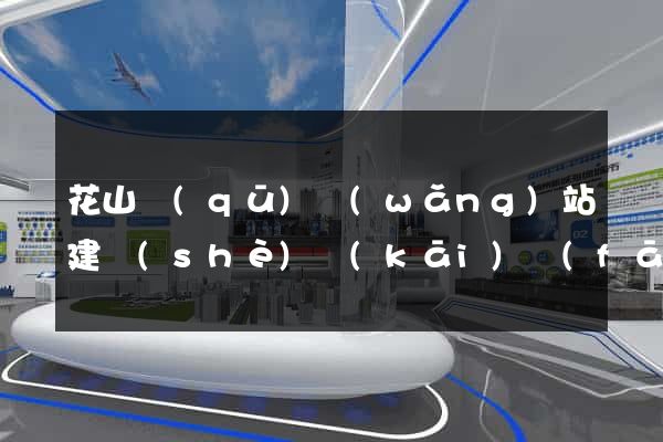 花山區(qū)網(wǎng)站建設(shè)開(kāi)發(fā)