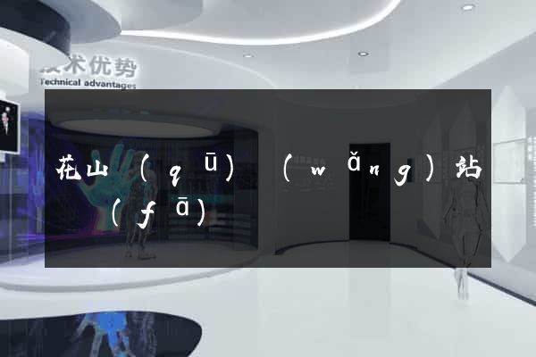 花山區(qū)網(wǎng)站開發(fā)