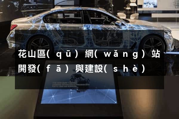 花山區(qū)網(wǎng)站開發(fā)與建設(shè)