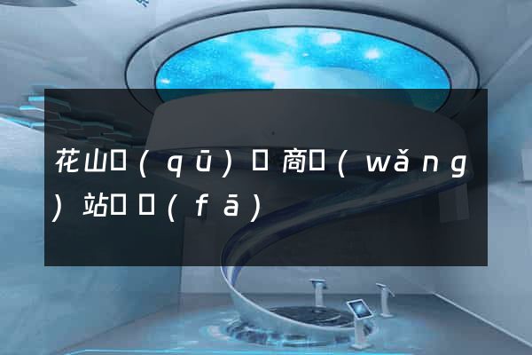 花山區(qū)電商網(wǎng)站開發(fā)