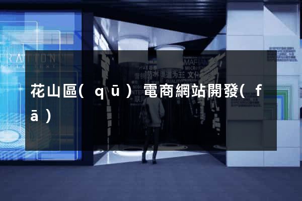 花山區(qū)電商網站開發(fā)