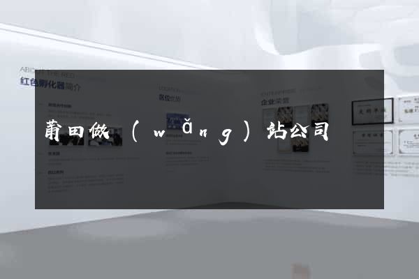 莆田做網(wǎng)站公司