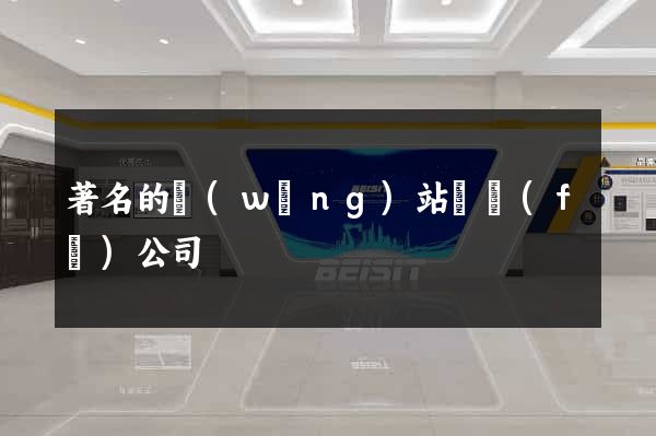 著名的網(wǎng)站開發(fā)公司