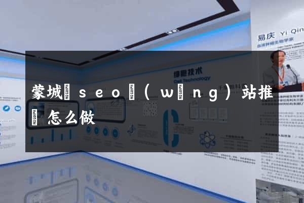 蒙城縣seo網(wǎng)站推廣怎么做