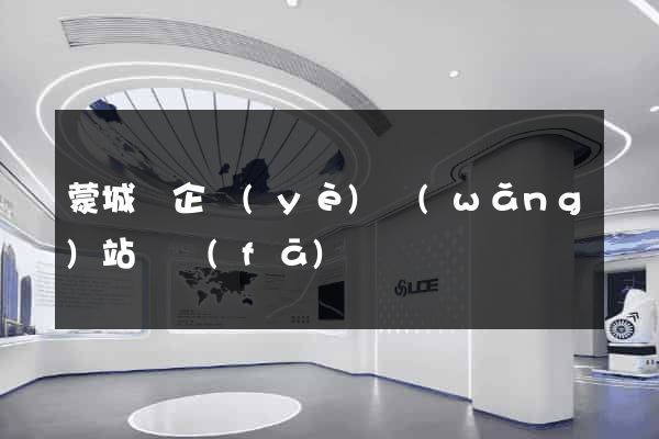 蒙城縣企業(yè)網(wǎng)站開發(fā)