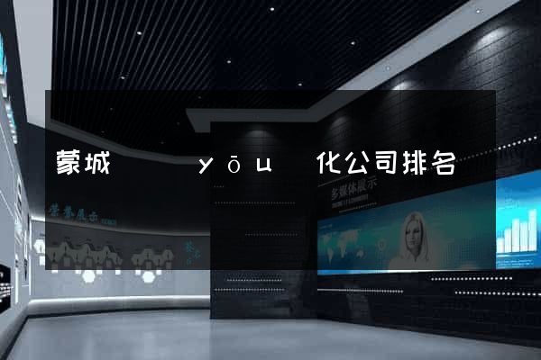 蒙城縣優(yōu)化公司排名