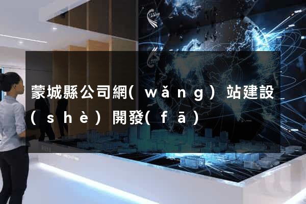 蒙城縣公司網(wǎng)站建設(shè)開發(fā)