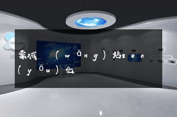 蒙城縣網(wǎng)站seo優(yōu)化