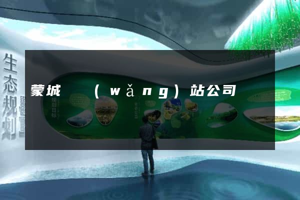 蒙城縣網(wǎng)站公司