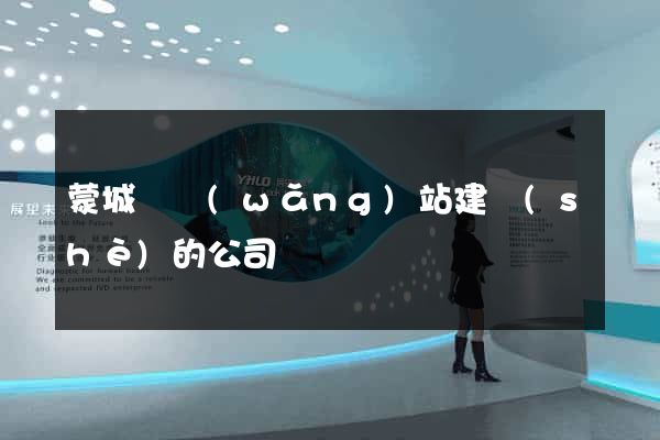 蒙城縣網(wǎng)站建設(shè)的公司