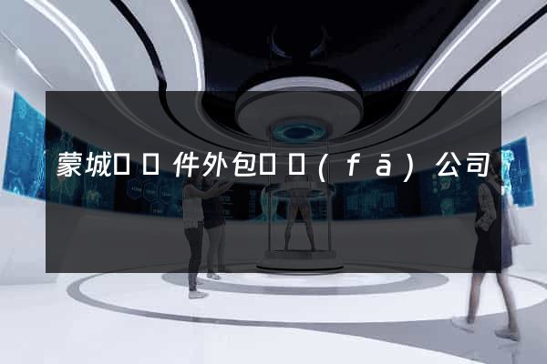 蒙城縣軟件外包開發(fā)公司