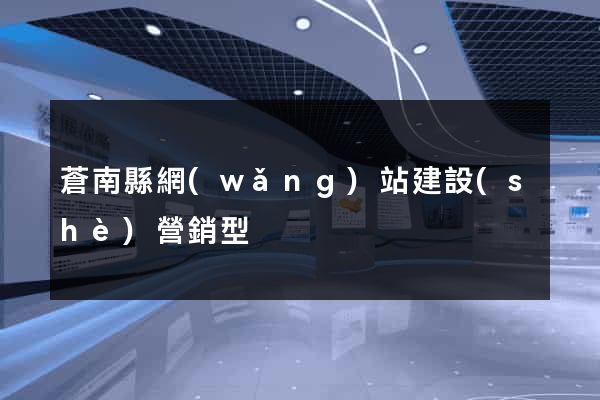 蒼南縣網(wǎng)站建設(shè)營銷型