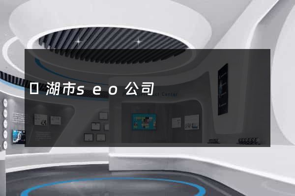 蕪湖市seo公司