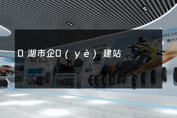 蕪湖市企業(yè)建站