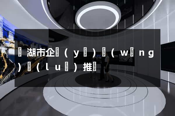蕪湖市企業(yè)網(wǎng)絡(luò)推廣