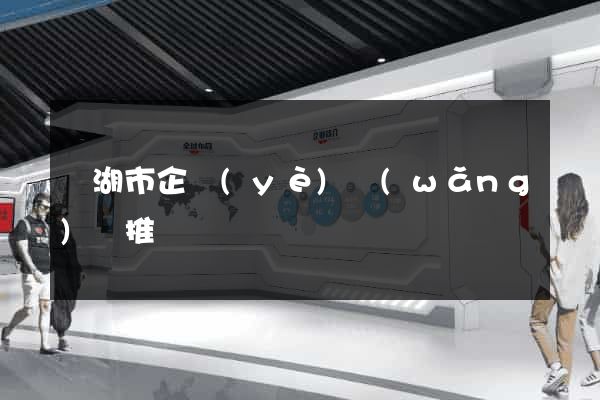 蕪湖市企業(yè)網(wǎng)絡推廣