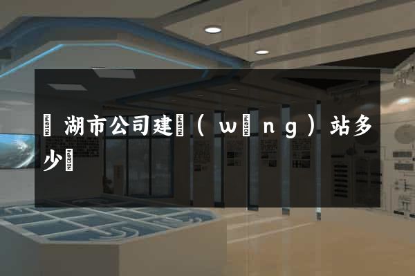 蕪湖市公司建網(wǎng)站多少錢