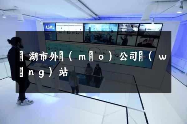 蕪湖市外貿(mào)公司網(wǎng)站