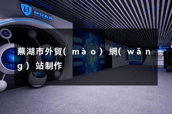 蕪湖市外貿(mào)網(wǎng)站制作