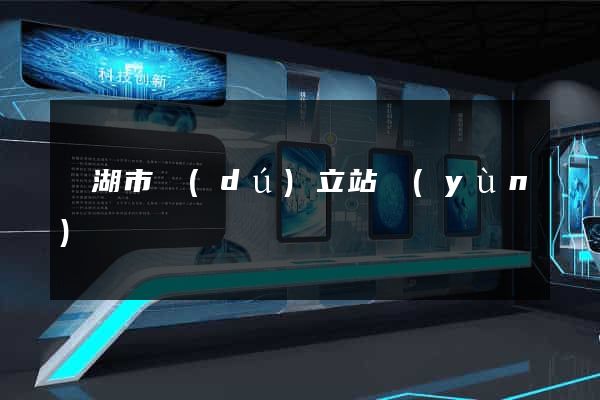蕪湖市獨(dú)立站運(yùn)營