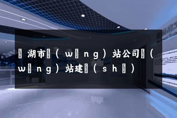 蕪湖市網(wǎng)站公司網(wǎng)站建設(shè)