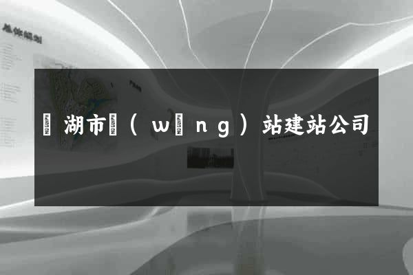 蕪湖市網(wǎng)站建站公司