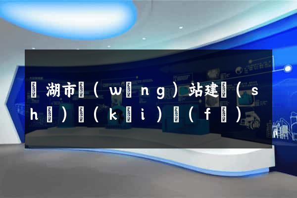 蕪湖市網(wǎng)站建設(shè)開(kāi)發(fā)