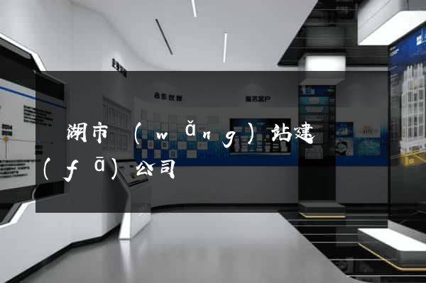 蕪湖市網(wǎng)站建設開發(fā)公司