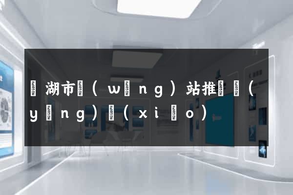 蕪湖市網(wǎng)站推廣營(yíng)銷(xiāo)