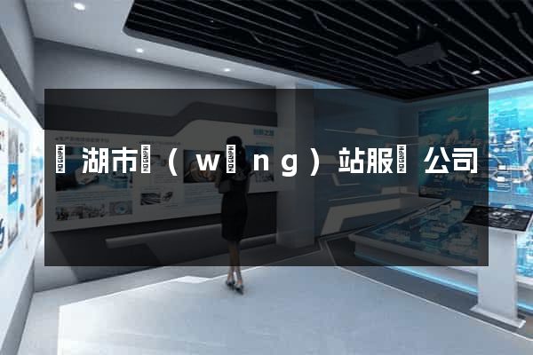 蕪湖市網(wǎng)站服務公司