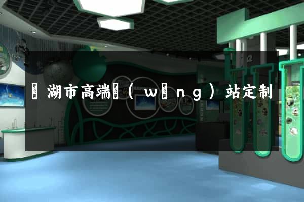 蕪湖市高端網(wǎng)站定制