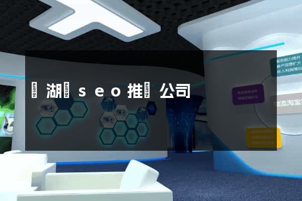 蕪湖縣seo推廣公司