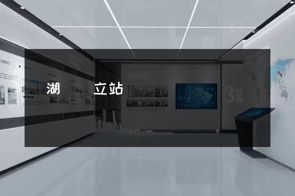 蕪湖縣獨立站運營