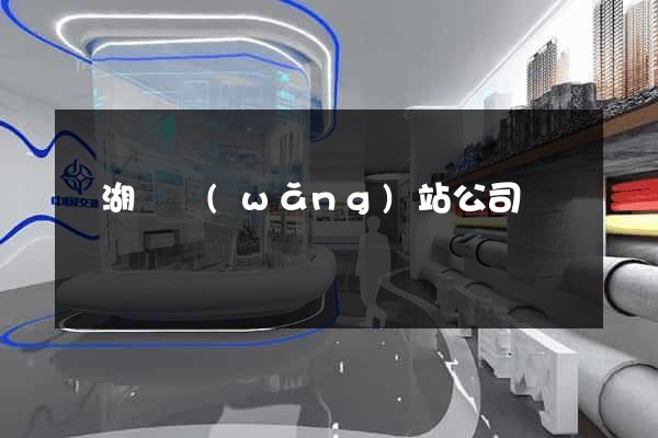 蕪湖縣網(wǎng)站公司