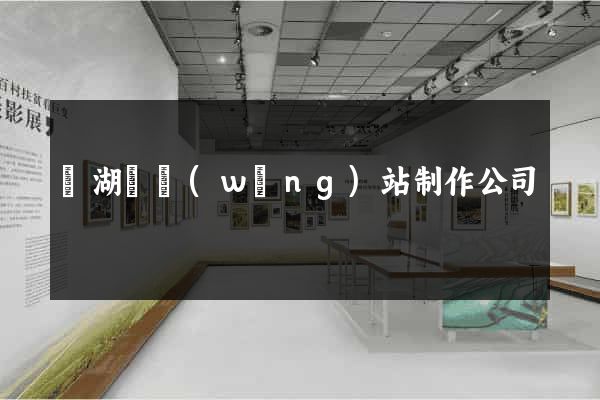 蕪湖縣網(wǎng)站制作公司