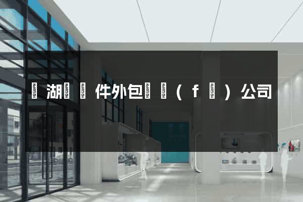 蕪湖縣軟件外包開發(fā)公司