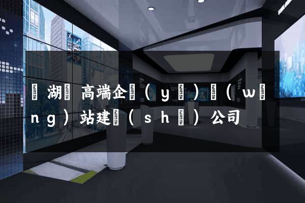 蕪湖縣高端企業(yè)網(wǎng)站建設(shè)公司