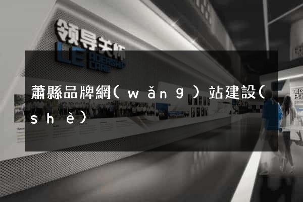 蕭縣品牌網(wǎng)站建設(shè)