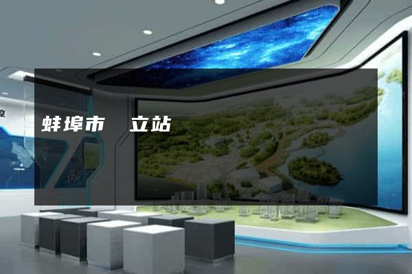 蚌埠市獨立站運營
