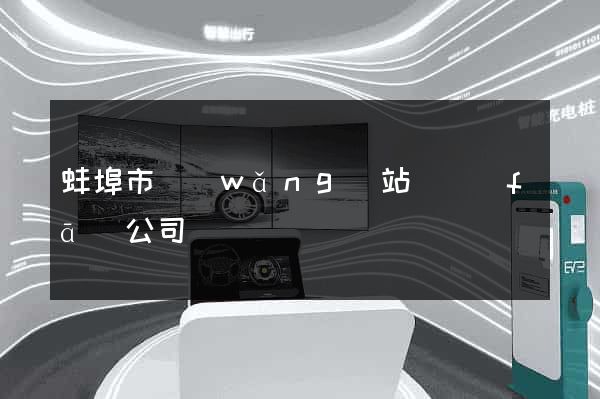 蚌埠市網(wǎng)站開發(fā)公司
