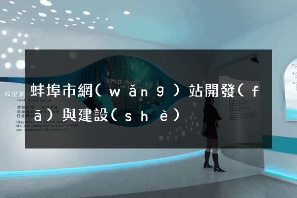 蚌埠市網(wǎng)站開發(fā)與建設(shè)