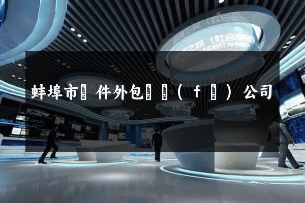 蚌埠市軟件外包開發(fā)公司