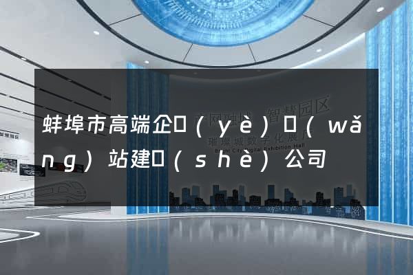 蚌埠市高端企業(yè)網(wǎng)站建設(shè)公司