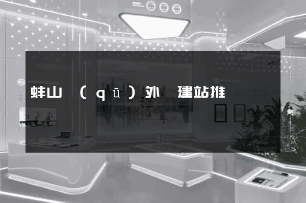 蚌山區(qū)外貿建站推廣