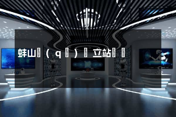 蚌山區(qū)獨立站運營