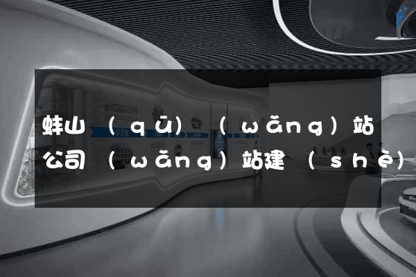 蚌山區(qū)網(wǎng)站公司網(wǎng)站建設(shè)
